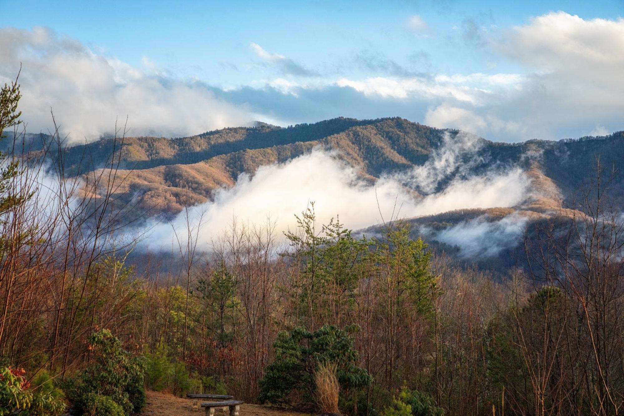 Real Log Cabin With Amazing Views, Hot Tub, Sauna, Games Gatlinburg Exterior photo